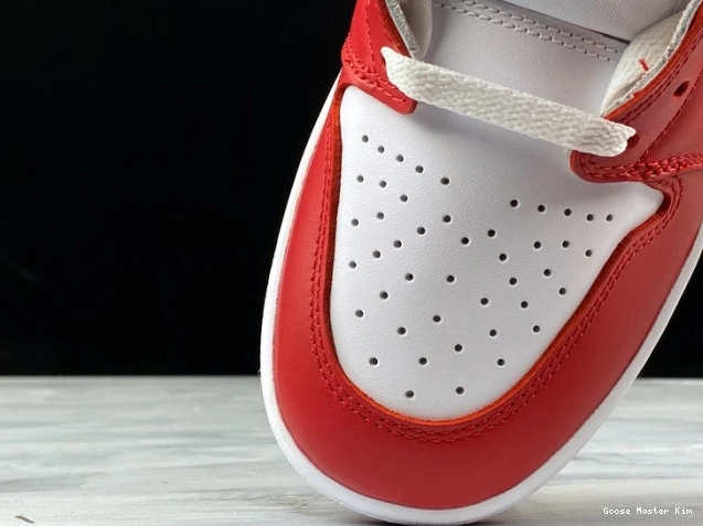 Air Retro 1 'New Beginnings' CQ4921-601 OG Jordan '85 High 0627